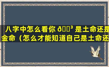 八字中怎么看你 🐳 是土命还是金命（怎么才能知道自己是土命还是 🐘 金命）